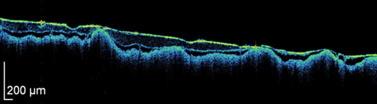 Uniwersytet Mikolaja Kopernika w Toruniu