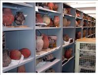 The British Museum, London, UK